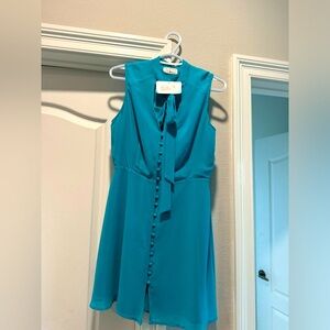 Ooh LaLa! Blue mini dress size medium wears more like a Small NWT cute